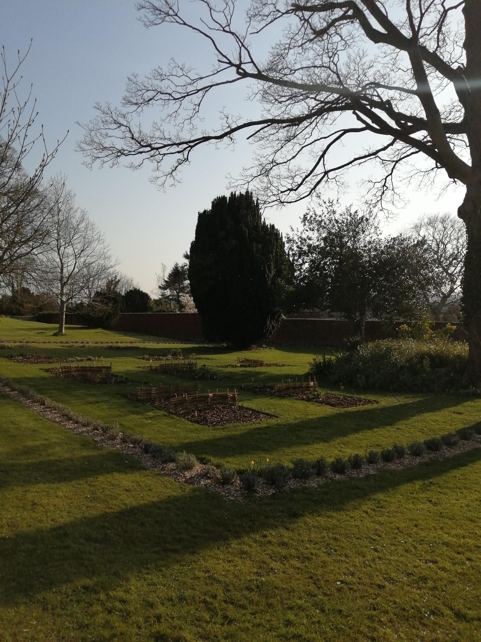 Garden in the sun!